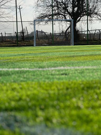 عکس چمن مصنوعی فینال پره سر