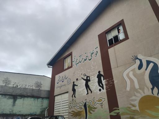 عکس سال ورزشی رضایی 