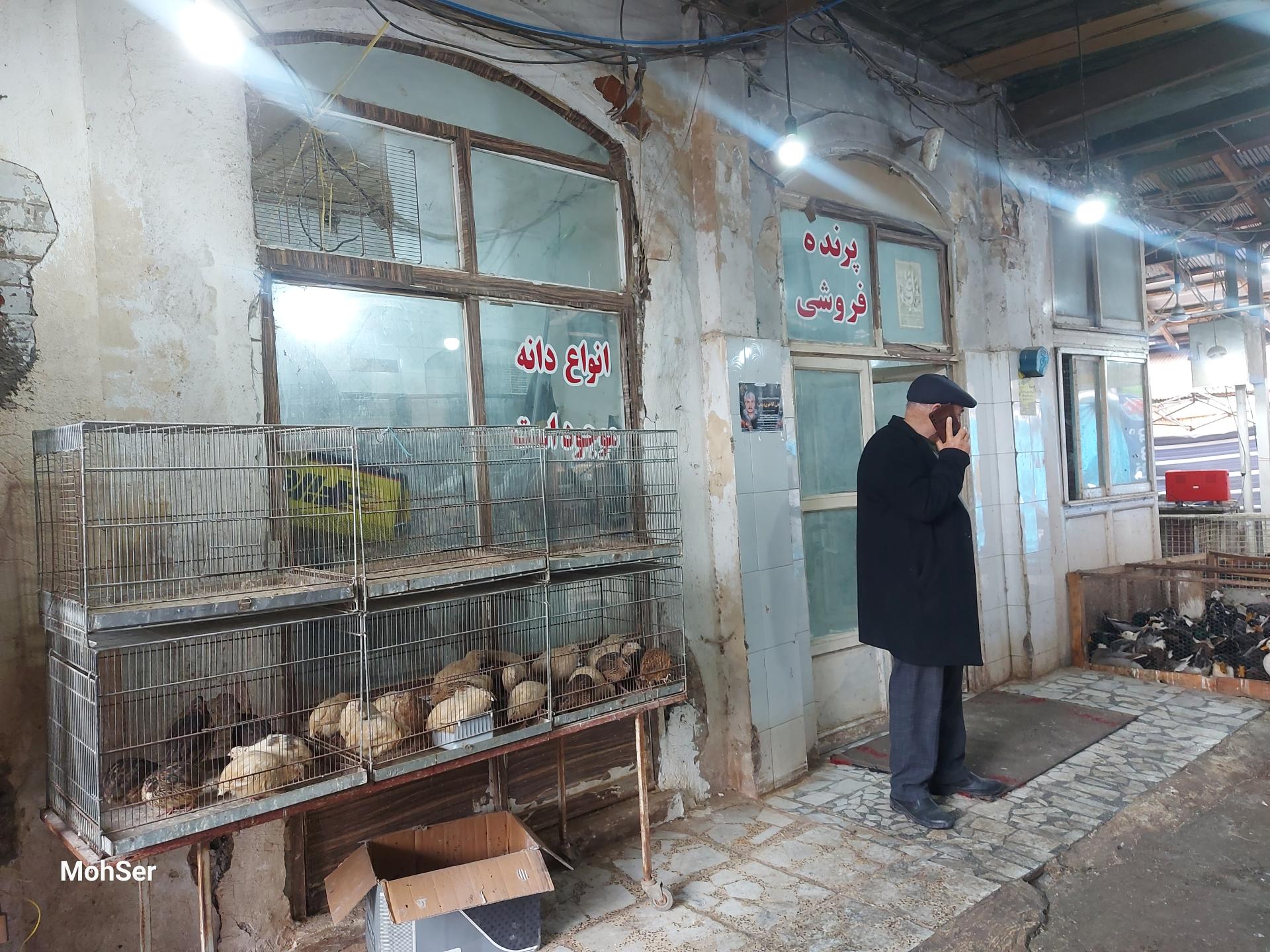 عکس سرای سعادت