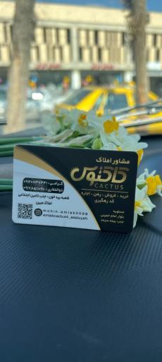 عکس مشاور املاک کاکتوس