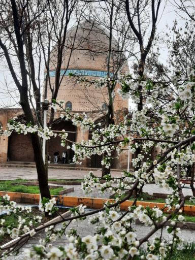 عکس پارک امامزاده