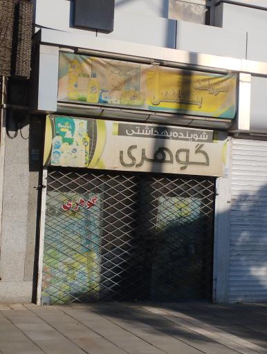 عکس شوینده بهداشتی گوهری