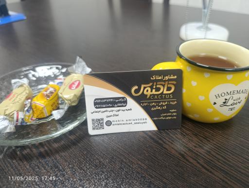 عکس مشاور املاک کاکتوس