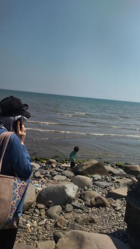 عکس نوده