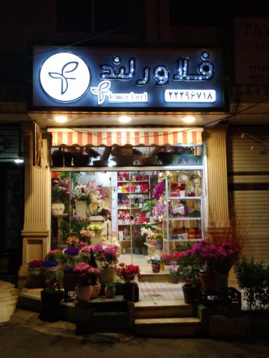 عکس گل فروشی