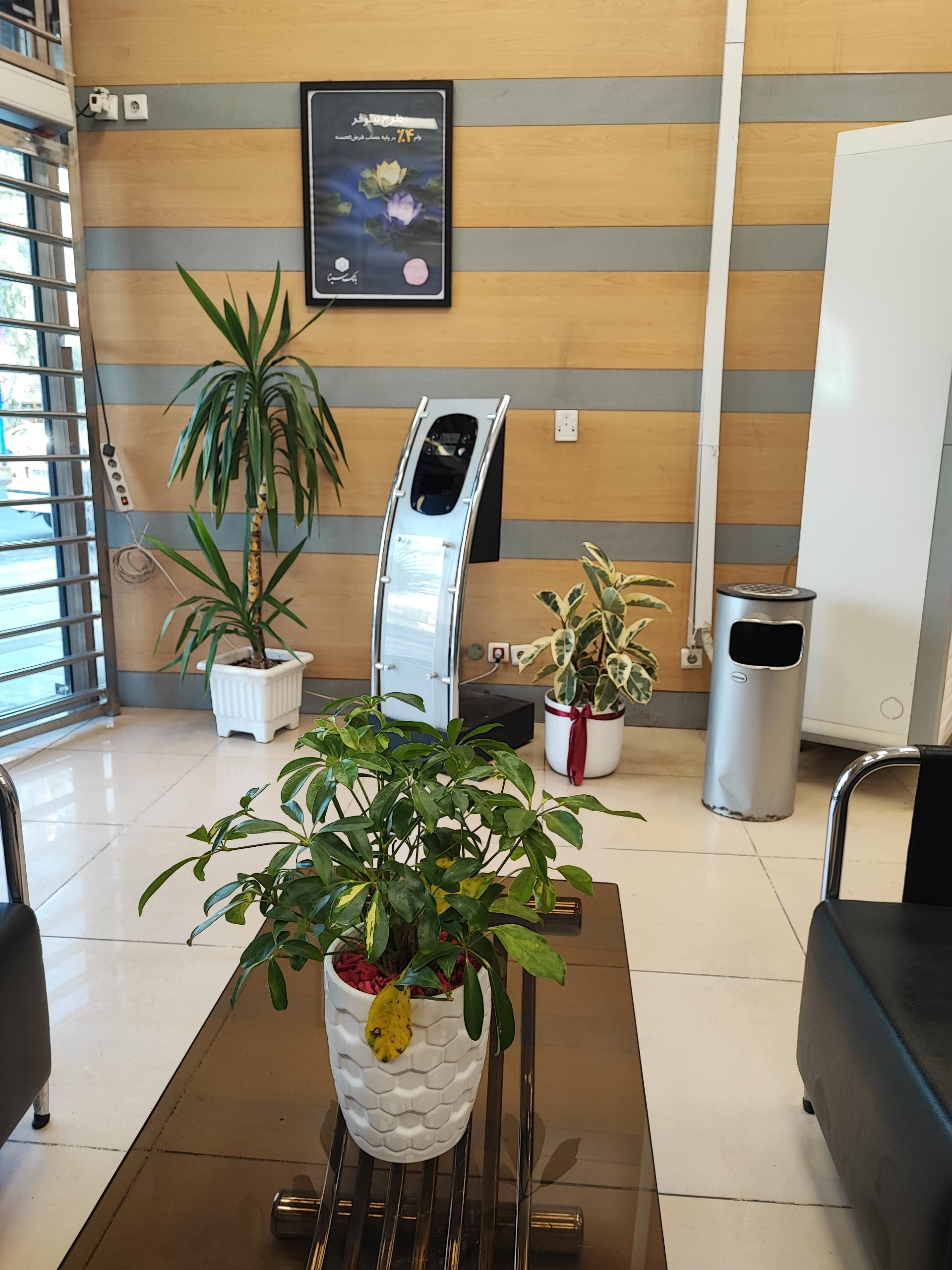 عکس بانک سینا شعبه چمران کد ۱۶۰ شعبه کیانپارس