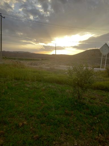عکس بهمن جان علیا