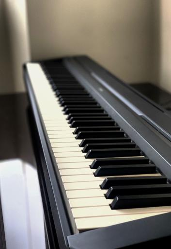 عکس آموزشگاه موسیقی نوای صبا