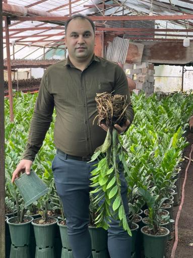 عکس گلستان سجادیان