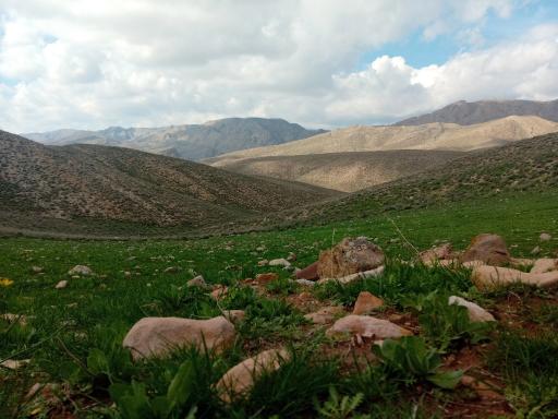 عکس بهمن جان علیا