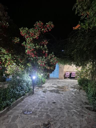 عکس نرجس خاتون