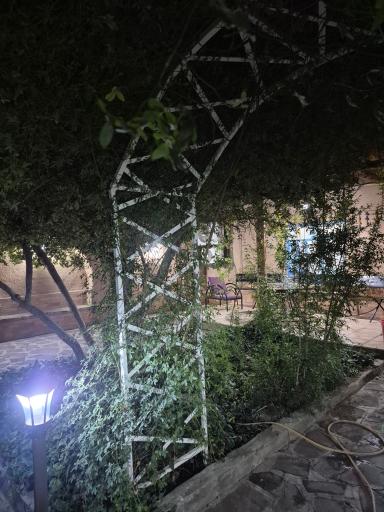 عکس نرجس خاتون