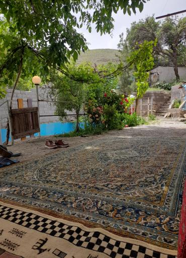 عکس باغ محمد حمزه زاده