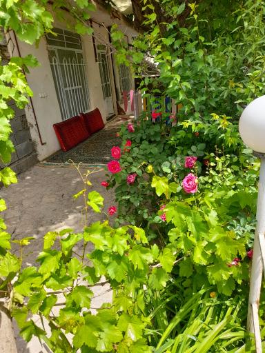 عکس باغ محمد حمزه زاده