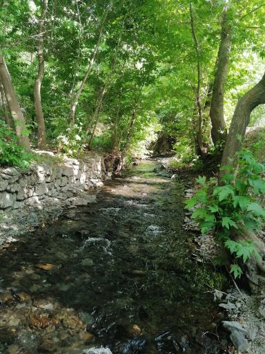 عکس باغ محمد حمزه زاده