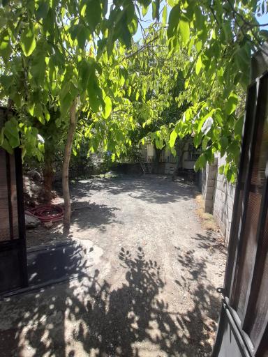 عکس باغ محمد حمزه زاده