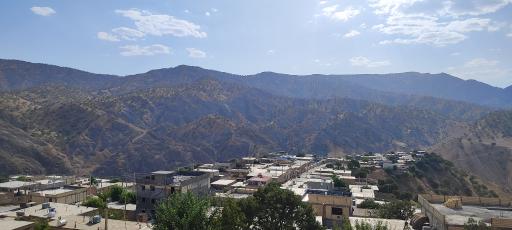 عکس رفن