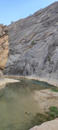 عکس رفن