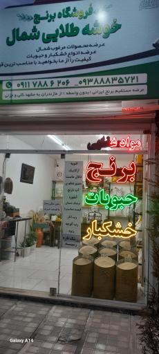 عکس   فروشگاه برنج خوشه طلایی شمال