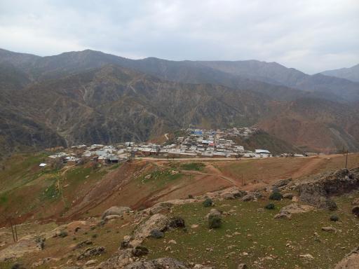 عکس رفن