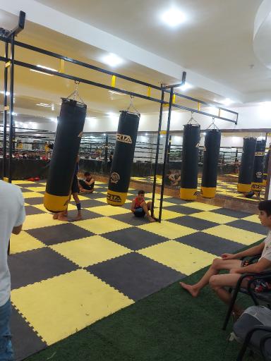 عکس باشگاه موی تای و مبارزات ماهک