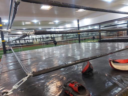 عکس باشگاه موی تای و مبارزات ماهک