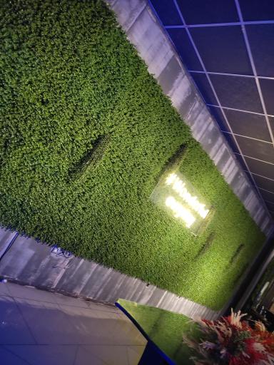 عکس کافه و فست فود بتون