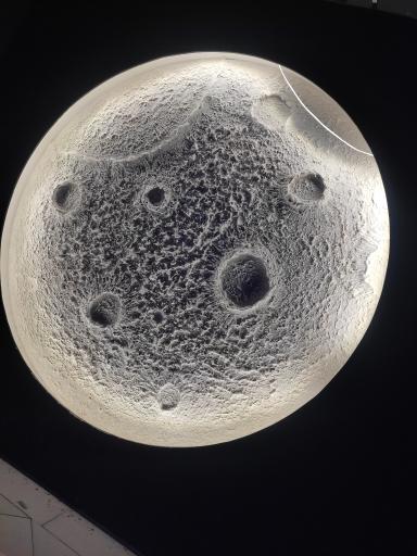 عکس کافه و فست فود بتون