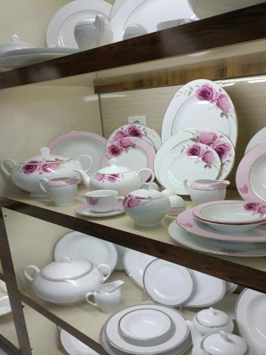 عکس نمایندگی رسمی چینی زرین 