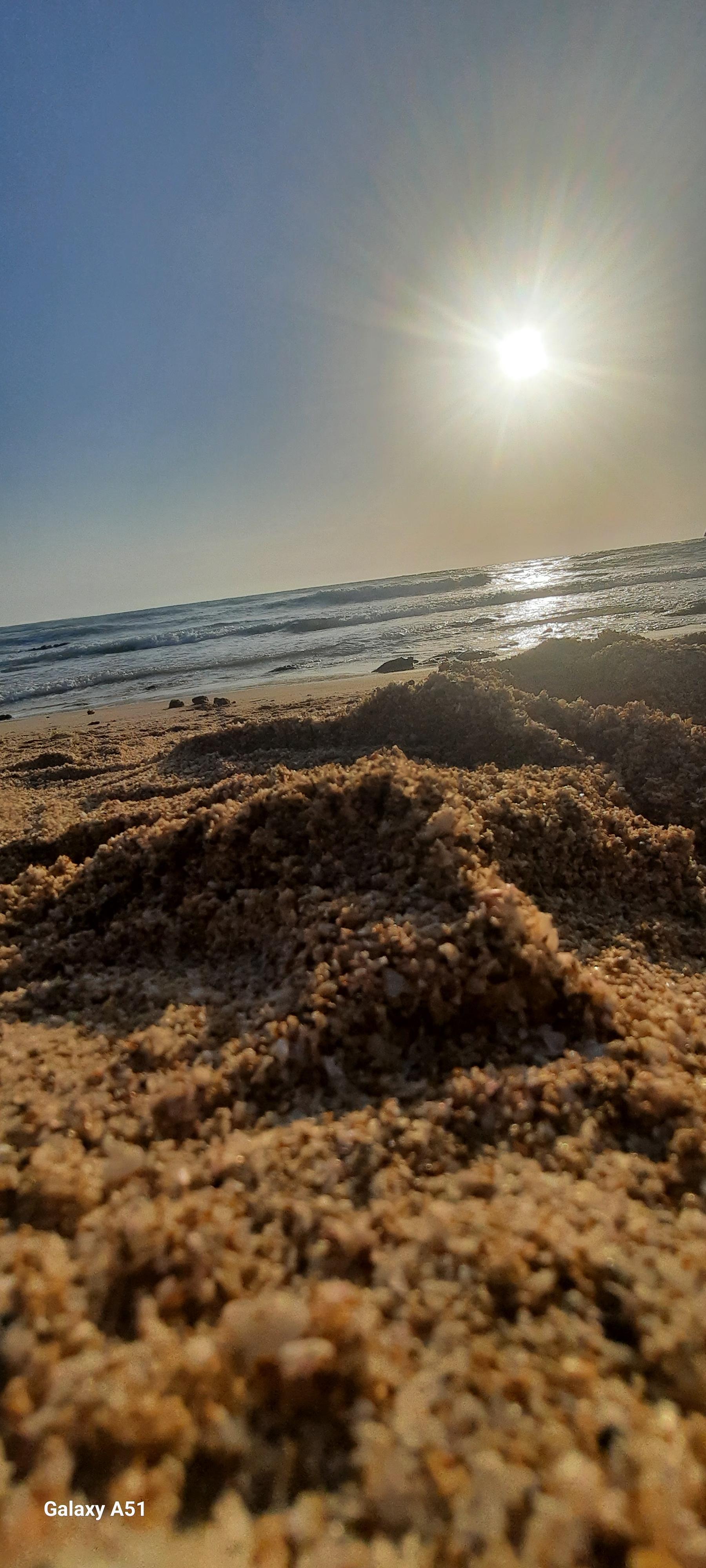 عکس ساحل گلها