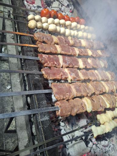 عکس باغ رستوران ماهان (کافه ماهان)