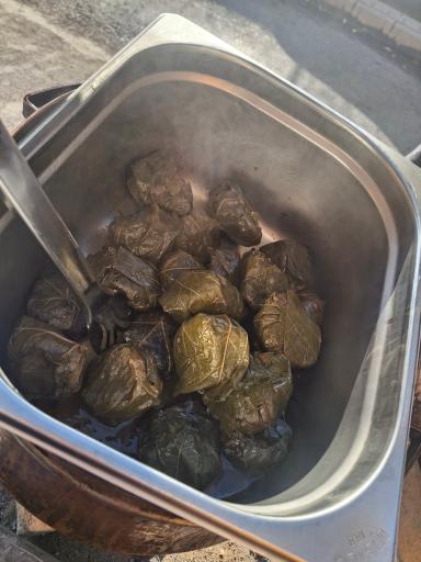 عکس باغ رستوران ماهان (کافه ماهان)