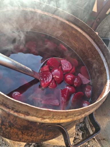 عکس باغ رستوران ماهان (کافه ماهان)