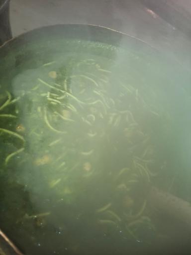 عکس باغ رستوران ماهان (کافه ماهان)