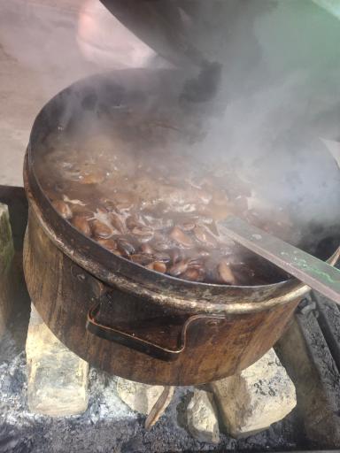 عکس باغ رستوران ماهان (کافه ماهان)