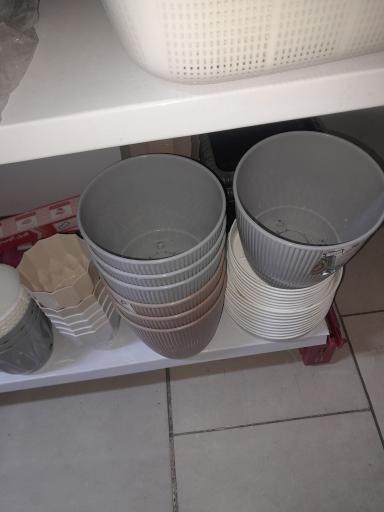 عکس ارزانسرای خانمی
