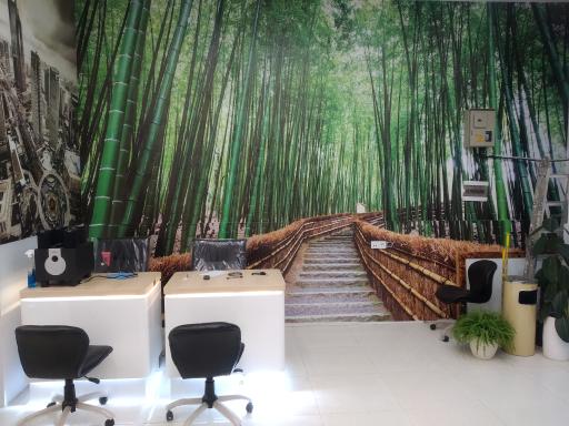 عکس مسکن بامبو