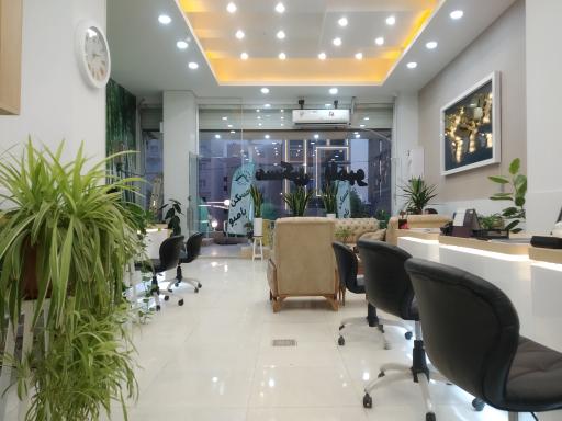 عکس مسکن بامبو