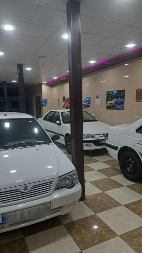 عکس اتوپارسیان 