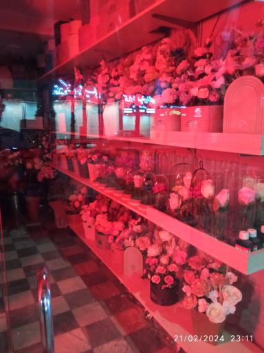 عکس گلکده آزالیا