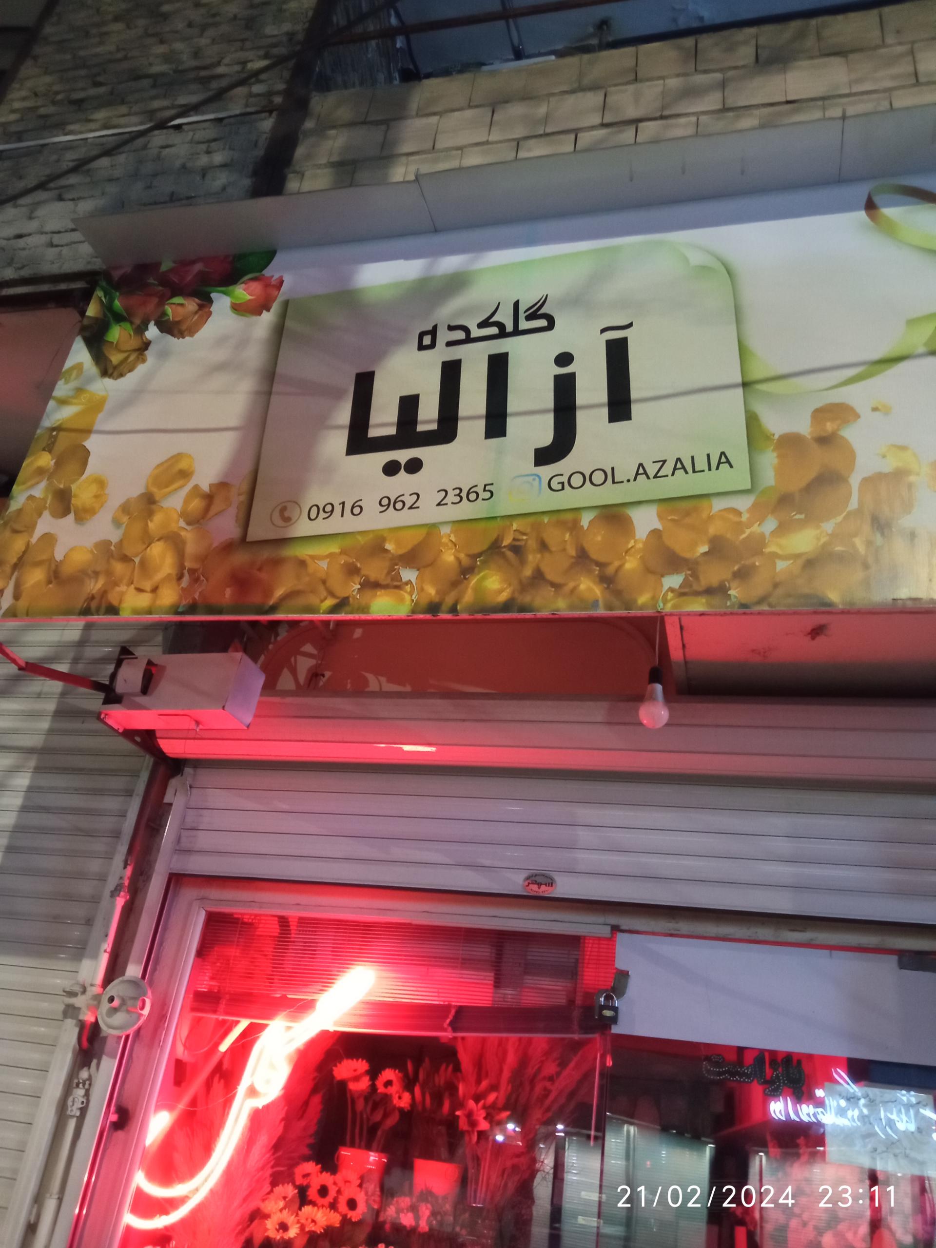 عکس گلکده آزالیا