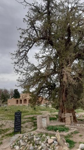 عکس آرامگاه شاهزاده قاسم