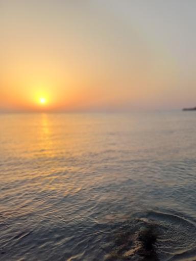 عکس ساحل بوشهر