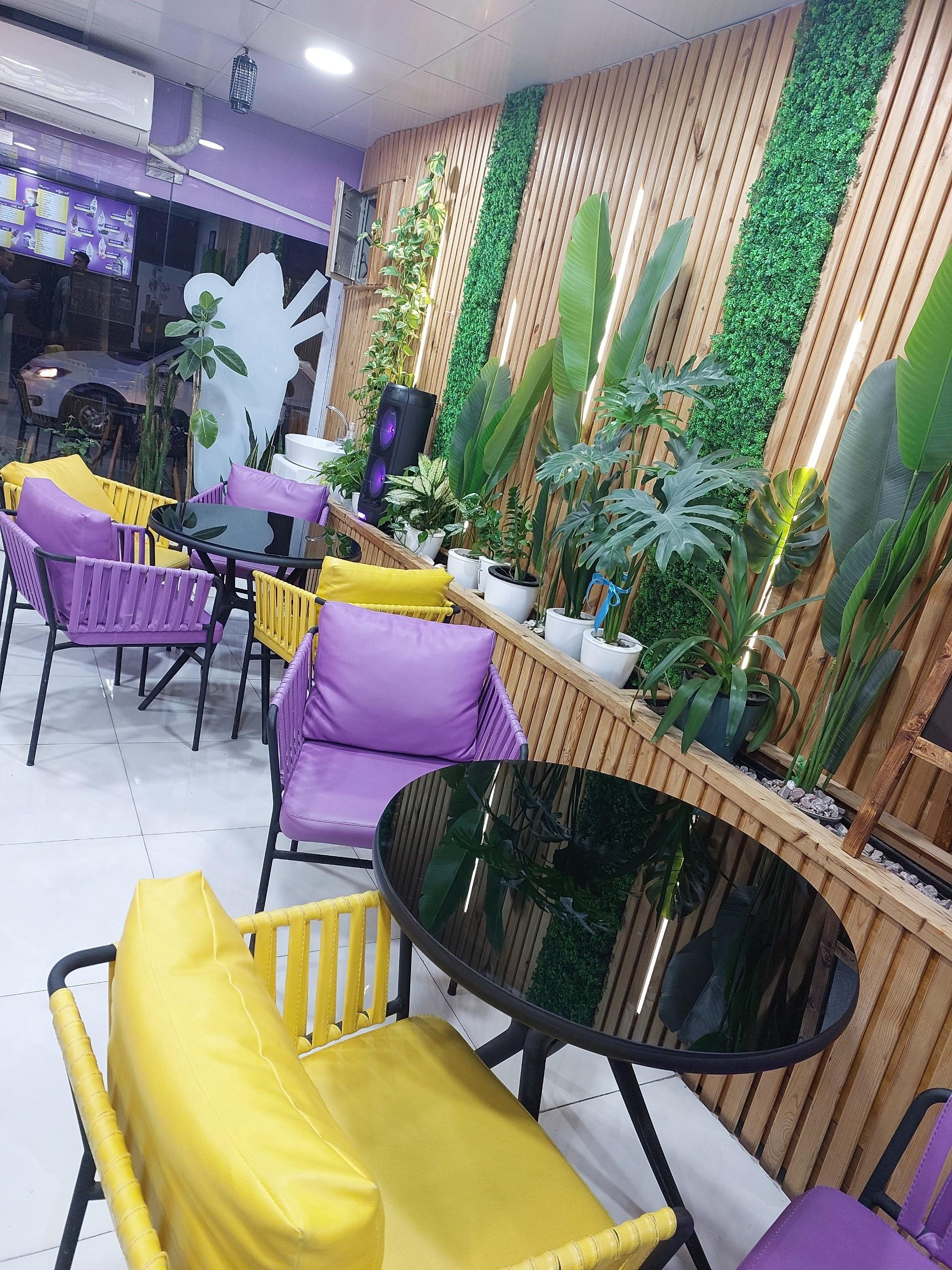 عکس کافه مکلی