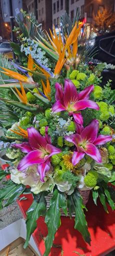 عکس گل فروشی بمب گل