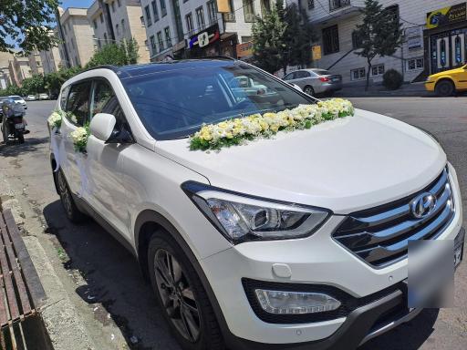 عکس گل فروشی بمب گل