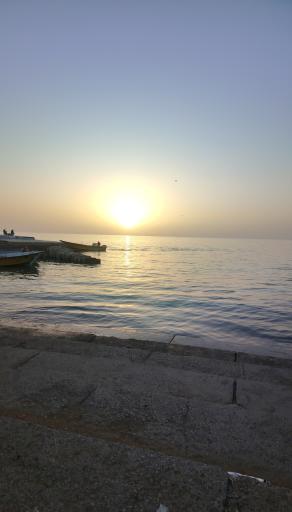 عکس ساحل بوشهر