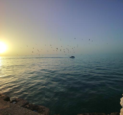 عکس ساحل بوشهر