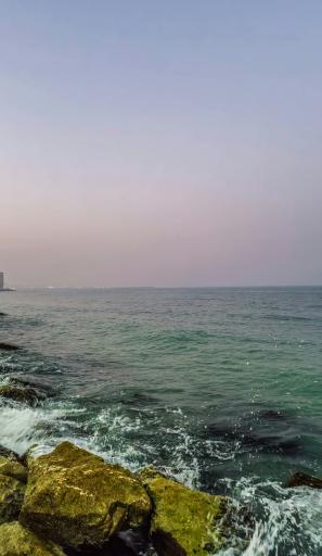 عکس ساحل بوشهر