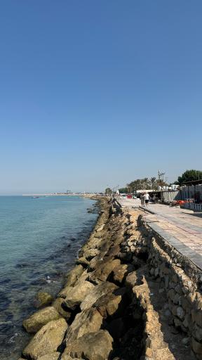 عکس ساحل بوشهر